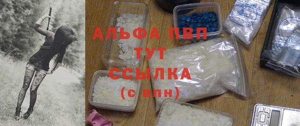 гашик Беломорск
